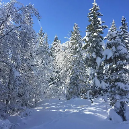 Le Rocher Blanc A Куршевель